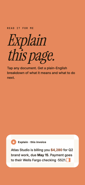 Plain-English explanations of any scan